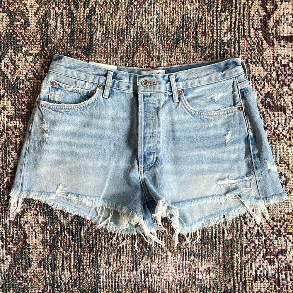 NWT AGOLDE Parker Vintage Cut Off Short in Swapmeet